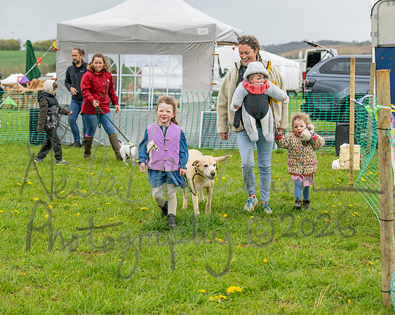 Bicestr Dog Show (22 of 399)