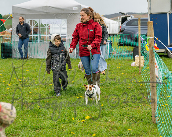 Bicestr Dog Show (24 of 399)