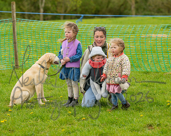 Bicestr Dog Show (25 of 399)