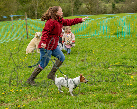 Bicestr Dog Show (26 of 399)
