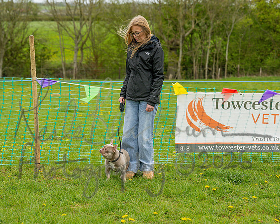 Bicestr Dog Show (28 of 399)