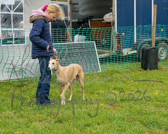 Bicestr Dog Show (31 of 399)