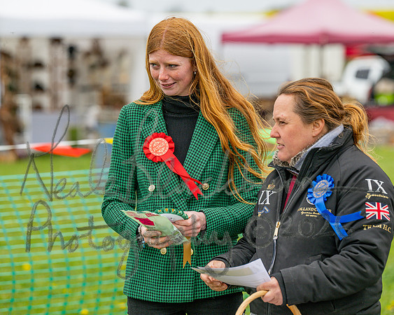 Bicestr Dog Show (35 of 399)