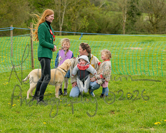 Bicestr Dog Show (33 of 399)