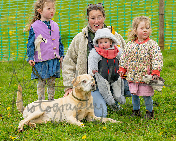 Bicestr Dog Show (36 of 399)