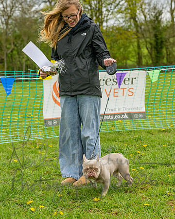 Bicestr Dog Show (39 of 399)