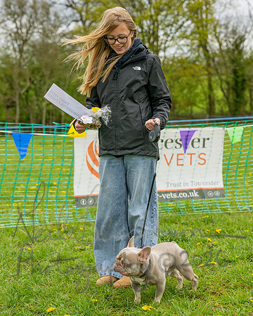 Bicestr Dog Show (40 of 399)