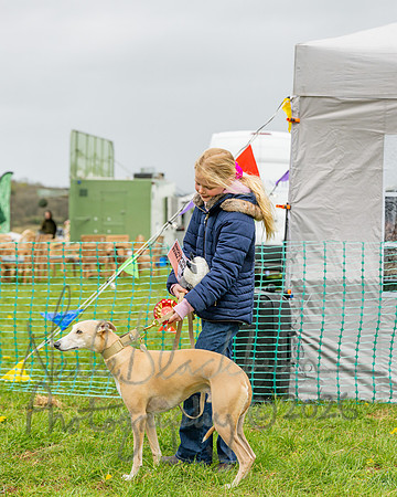 Bicestr Dog Show (45 of 399)