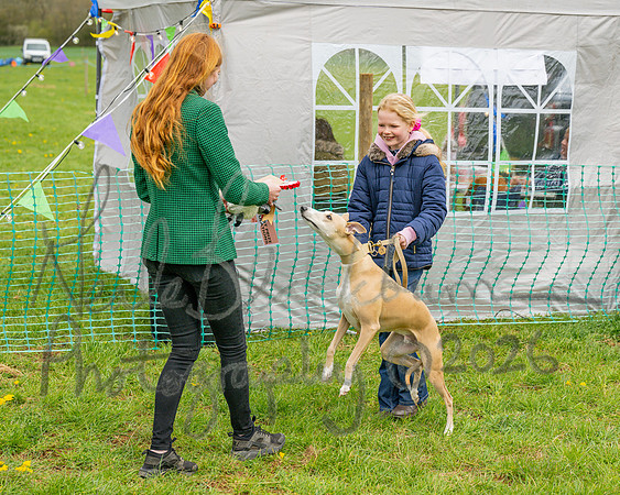 Bicestr Dog Show (43 of 399)