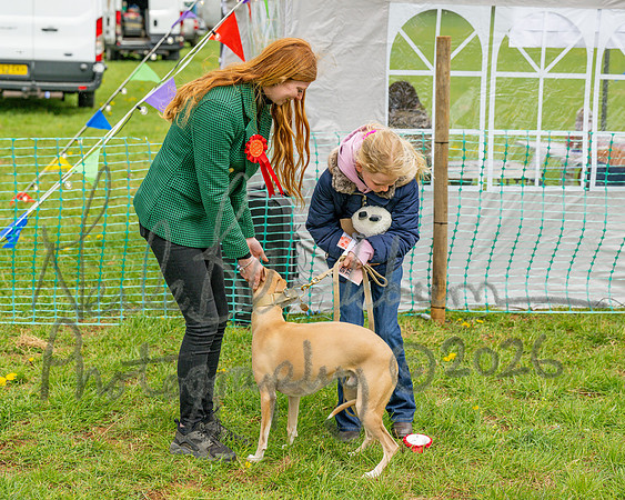 Bicestr Dog Show (44 of 399)