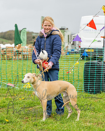 Bicestr Dog Show (46 of 399)