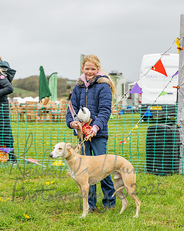 Bicestr Dog Show (47 of 399)