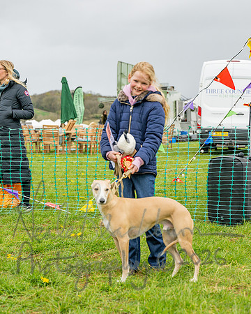 Bicestr Dog Show (48 of 399)