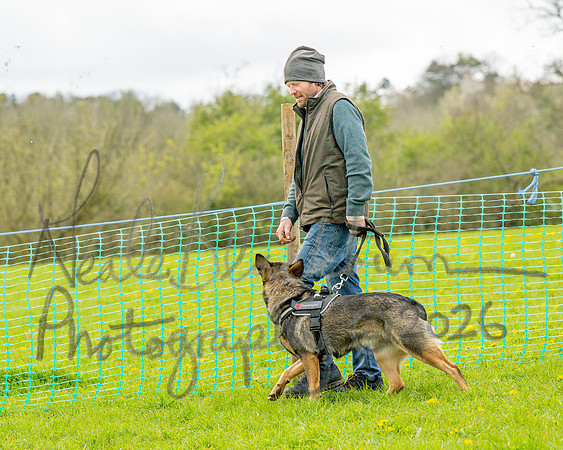 Bicestr Dog Show (49 of 399)