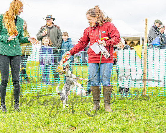 Bicestr Dog Show (53 of 399)