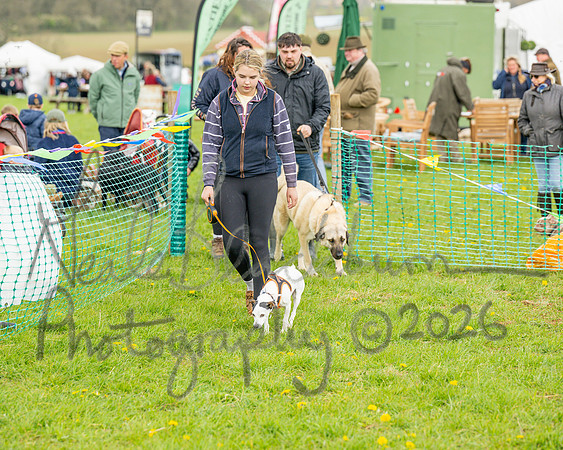 Bicestr Dog Show (57 of 399)