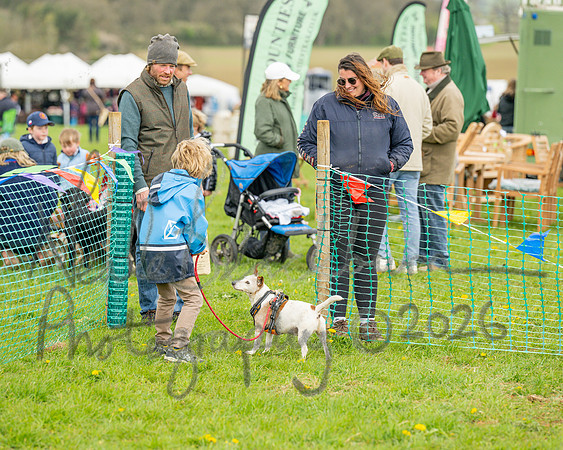 Bicestr Dog Show (60 of 399)