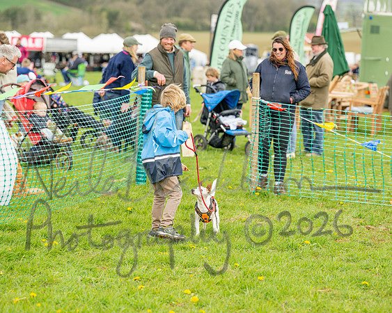 Bicestr Dog Show (61 of 399)
