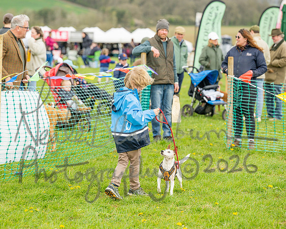 Bicestr Dog Show (62 of 399)