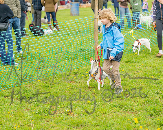 Bicestr Dog Show (63 of 399)