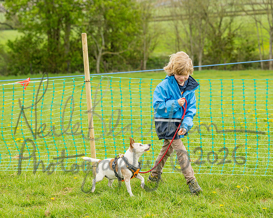 Bicestr Dog Show (64 of 399)