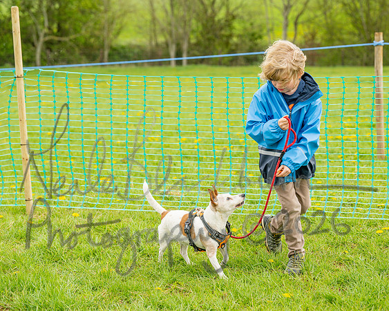 Bicestr Dog Show (65 of 399)
