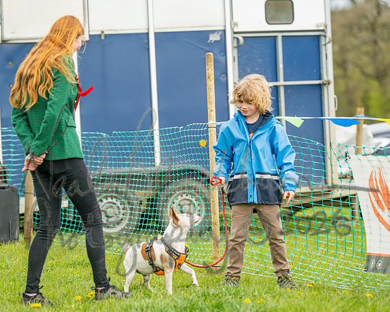 Bicestr Dog Show (68 of 399)