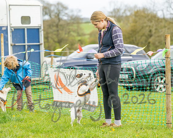 Bicestr Dog Show (70 of 399)