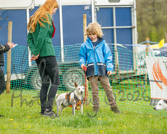 Bicestr Dog Show (69 of 399)