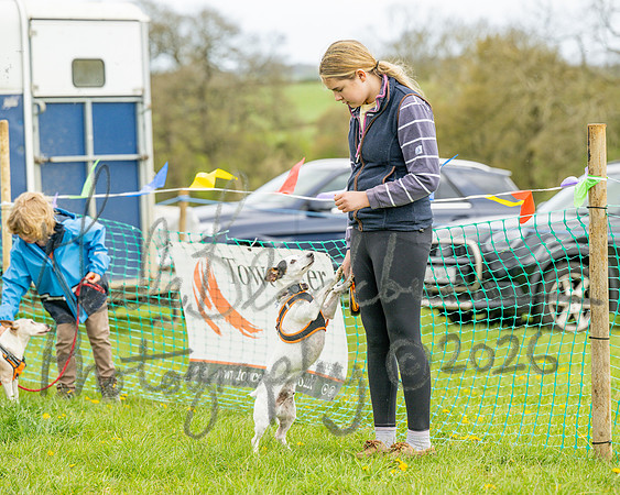 Bicestr Dog Show (71 of 399)