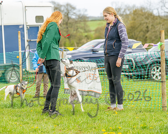 Bicestr Dog Show (73 of 399)