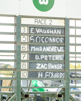 Race 2 - Young Horse Maiden 2m 5f (1 of 117)