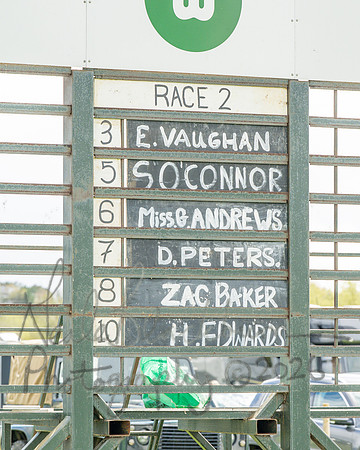 Race 2 - Young Horse Maiden 2m 5f (1 of 117)