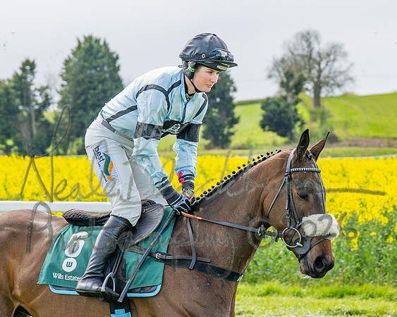 Race 2 - Young Horse Maiden 2m 5f (2 of 117)