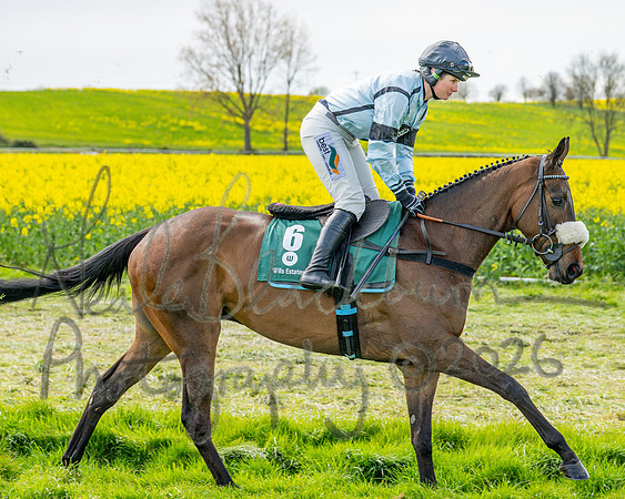 Race 2 - Young Horse Maiden 2m 5f (3 of 117)