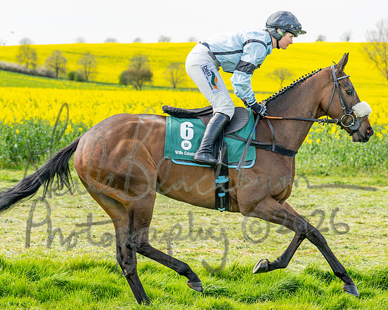 Race 2 - Young Horse Maiden 2m 5f (4 of 117)
