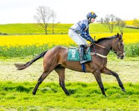 Race 2 - Young Horse Maiden 2m 5f (5 of 117)