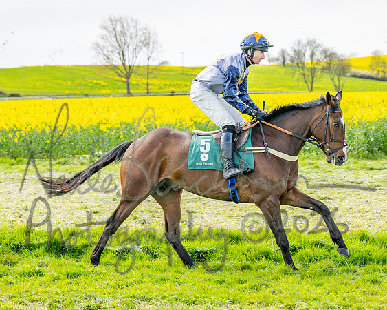 Race 2 - Young Horse Maiden 2m 5f (5 of 117)