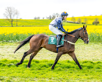 Race 2 - Young Horse Maiden 2m 5f (6 of 117)