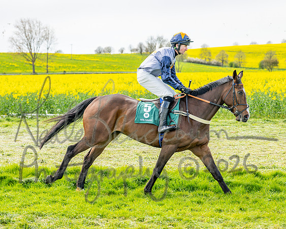 Race 2 - Young Horse Maiden 2m 5f (6 of 117)