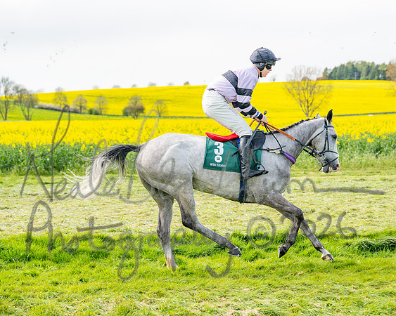 Race 2 - Young Horse Maiden 2m 5f (7 of 117)
