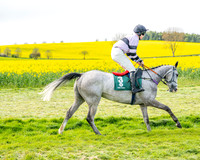 Race 2 - Young Horse Maiden 2m 5f (8 of 117)