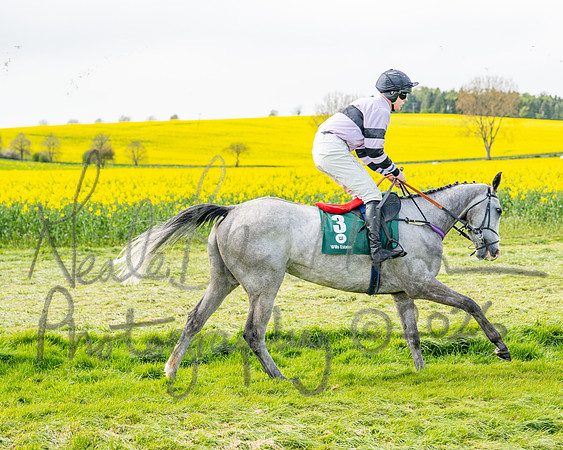 Race 2 - Young Horse Maiden 2m 5f (8 of 117)
