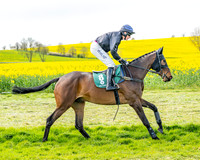 Race 2 - Young Horse Maiden 2m 5f (9 of 117)