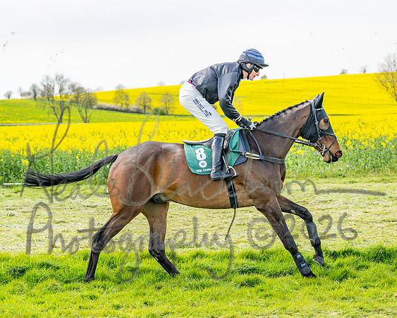 Race 2 - Young Horse Maiden 2m 5f (9 of 117)