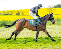 Race 2 - Young Horse Maiden 2m 5f (10 of 117)