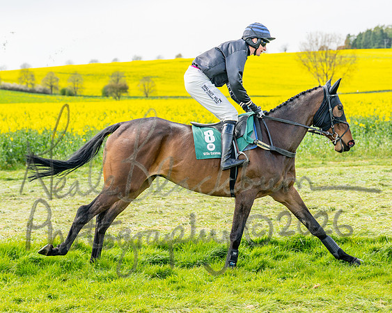 Race 2 - Young Horse Maiden 2m 5f (10 of 117)