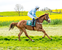 Race 2 - Young Horse Maiden 2m 5f (11 of 117)