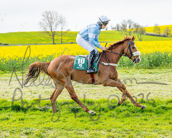 Race 2 - Young Horse Maiden 2m 5f (11 of 117)