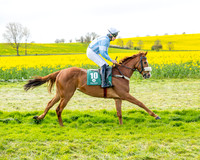 Race 2 - Young Horse Maiden 2m 5f (12 of 117)
